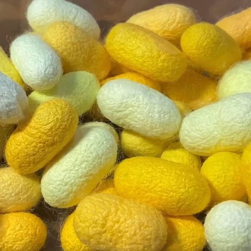 Production de Soie de Mûrier, Morphologie, Propriétés et Utilisations