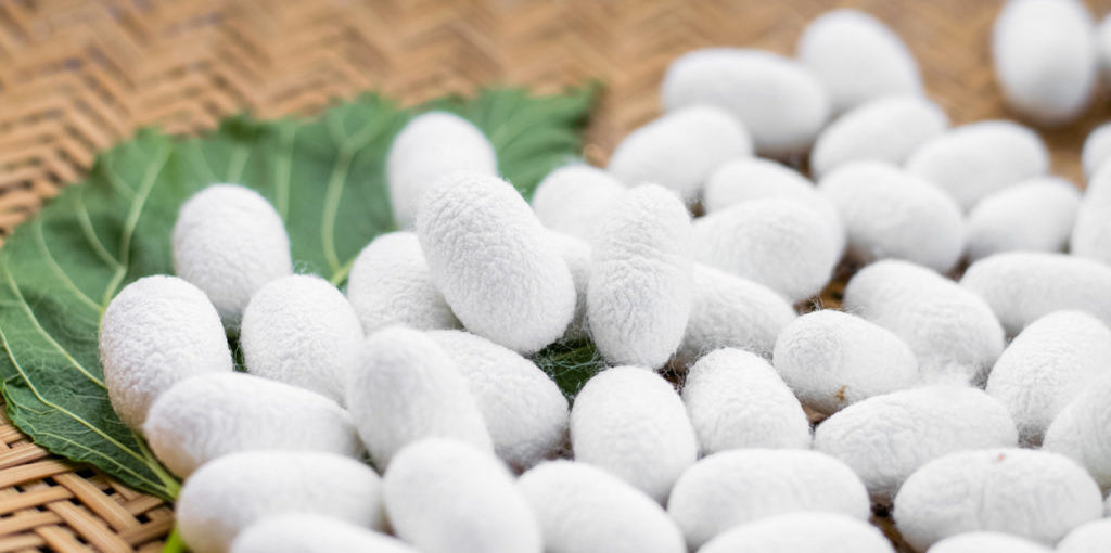 La différence entre la soie de mûrier et les autres soies