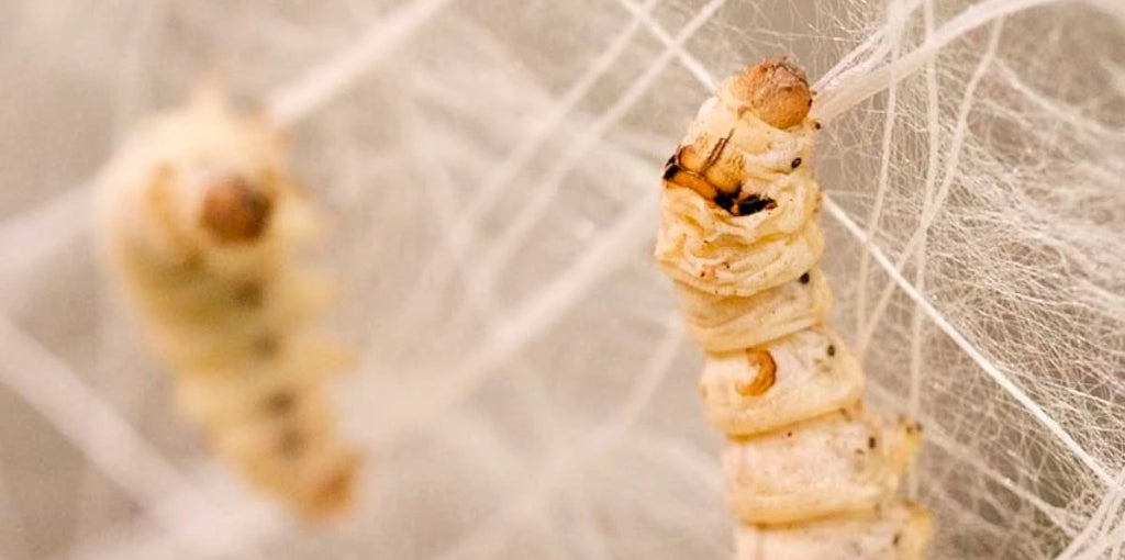 Soie : le tissu respirant ultime pour un confort en toute saison