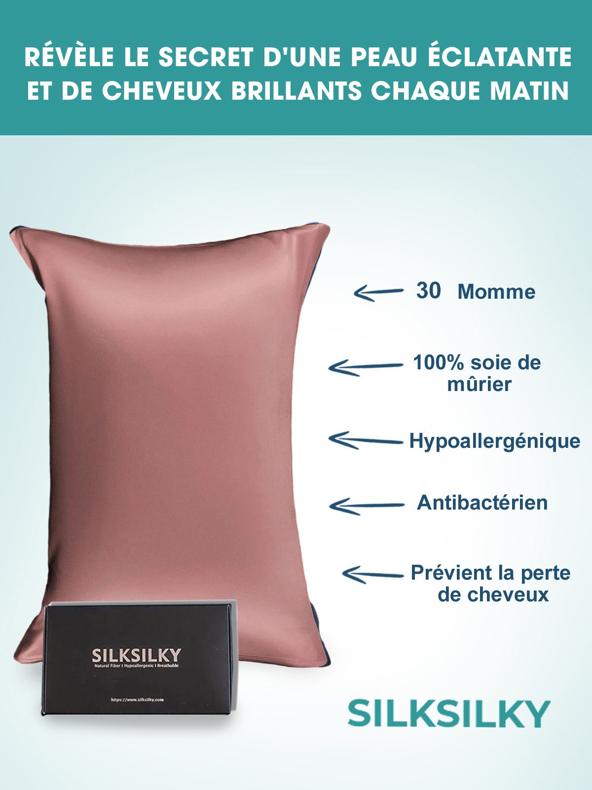 SilkSilky FR 30Momme Pure Soie Pillowcase MauvePâle 002