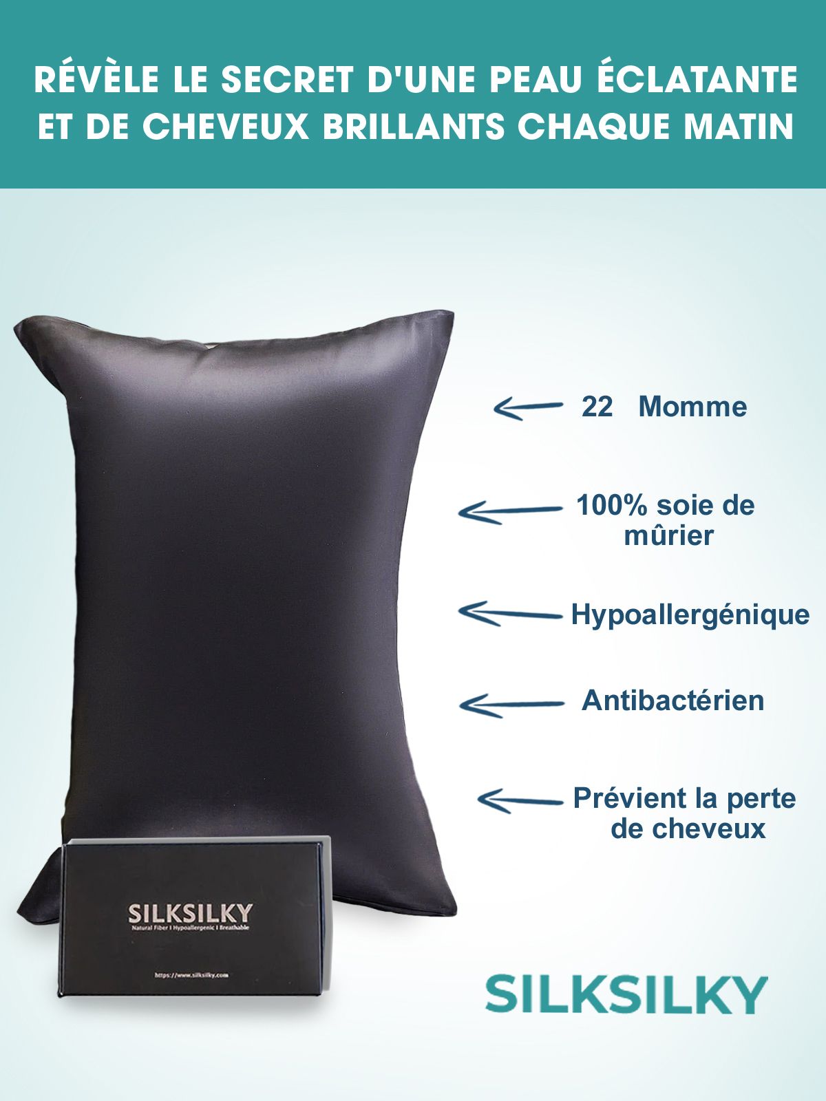 SilkSilky FR 22Momme Pure Soie Pillowcase Noir 003