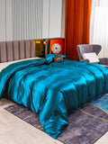 SilkSilky FR 22Momme Pure Soie Duvet Cover BleuRoyal 003