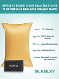 SilkSilky-FR 19Momme Pure Soie Pillowcase Champagne 003