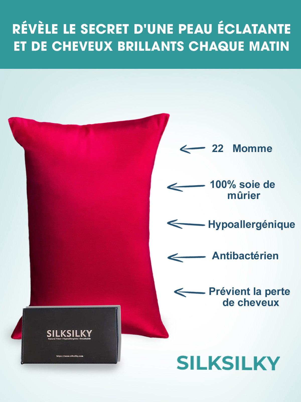 SilkSilky FR 22Momme Pure Soie Pillowcase RougeVineux 002