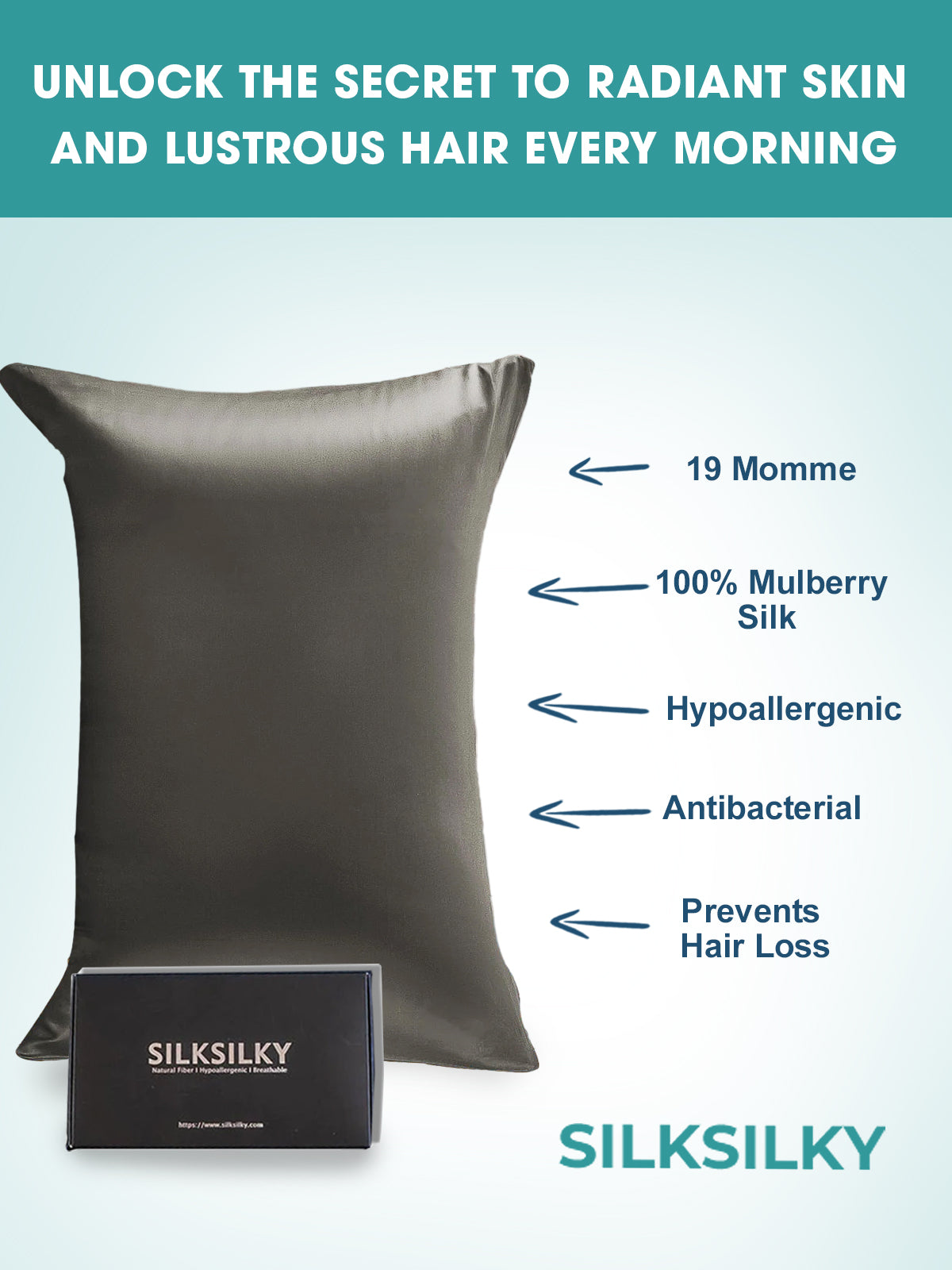 SilkSilky FR 19Momme Pure Soie Pillowcase Gris 010