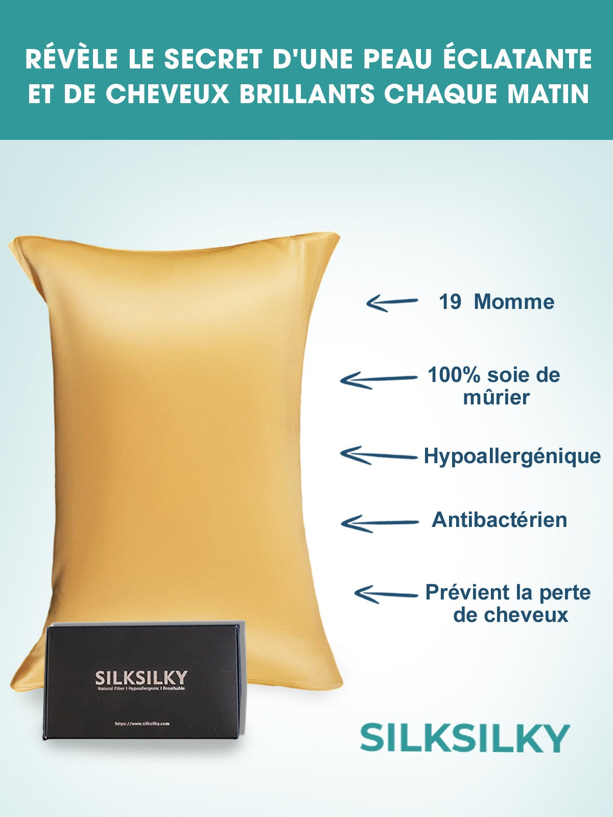 [Champagne] SilkSilky-FR 19Momme Pillowcase 003