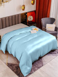 SilkSilky FR 19Momme Pure Soie Duvet Cover BleuClair 001