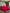 [Rouge Vineux] SilkSilky-FR 19Momme Pure Soie Bedding Set 001