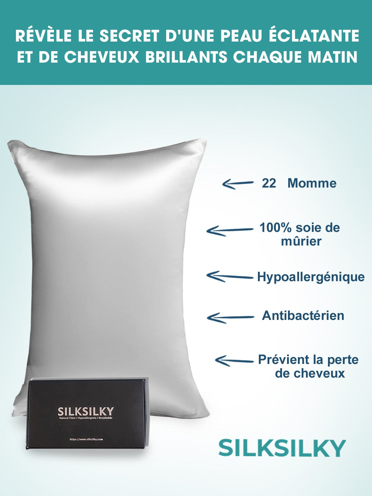 SilkSilky FR 22Momme Pure Soie Pillowcase Argent 003