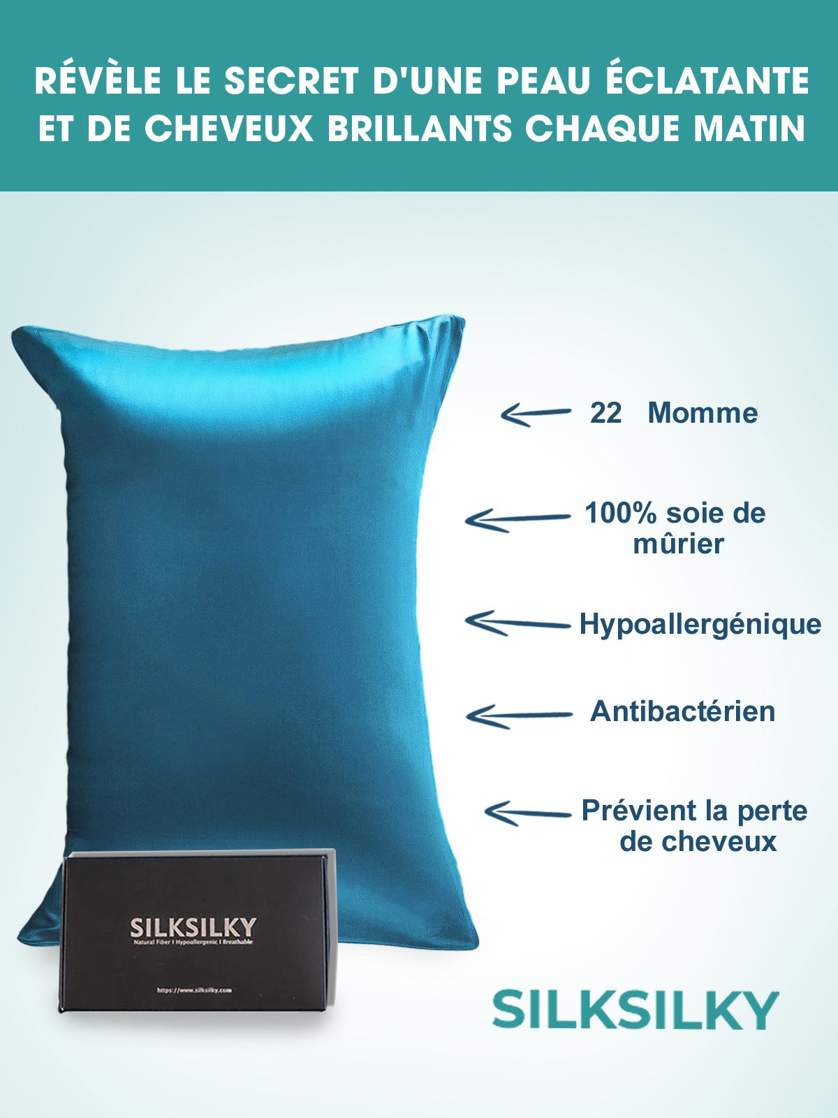 SilkSilky FR 22Momme Pure Soie Pillowcase BleuRoyal 002