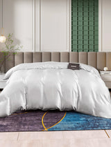 [Argent] SilkSilky-FR 25Momme Duvet Covers 002