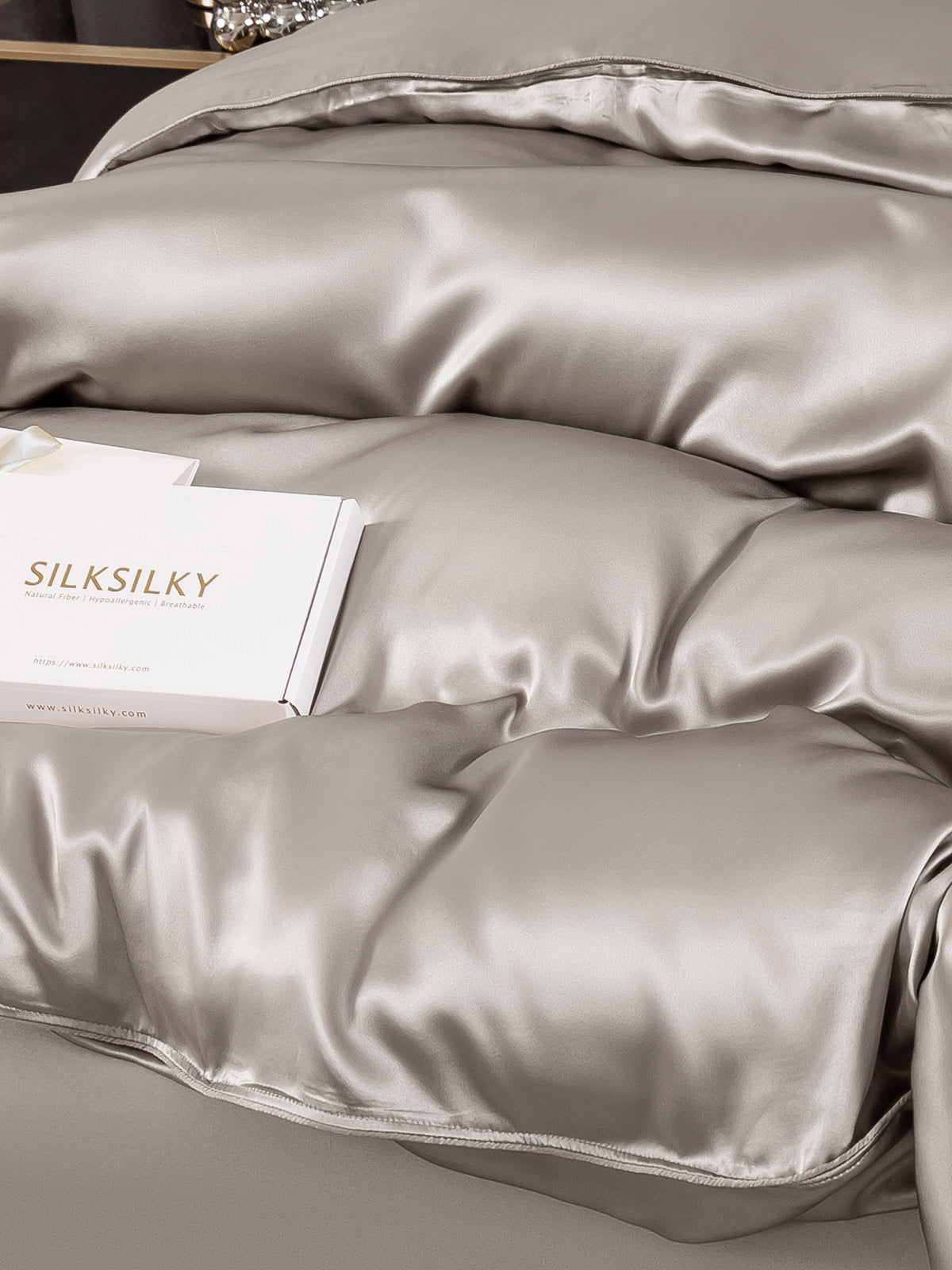[Gris] SilkSilky-FR 25Momme Pure Soie Duvet Cover 003