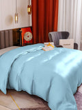 SilkSilky FR 19Momme Pure Soie Duvet Cover BleuClair 002