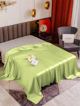 [Vert Menthe] SilkSilky-FR 19Momme Draps 001