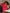 [Rouge Vineux] SilkSilky-FR 30Momme Pure Soie Pillowcase 001