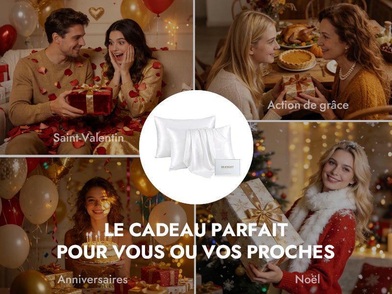 4-Le Cadeau Idéal pour les Fêtes