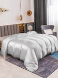 SilkSilky FR 19Momme Pure Soie Duvet Cover Argent 001