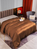 SilkSilky FR 22Momme Pure Soie Duvet Cover Café 002