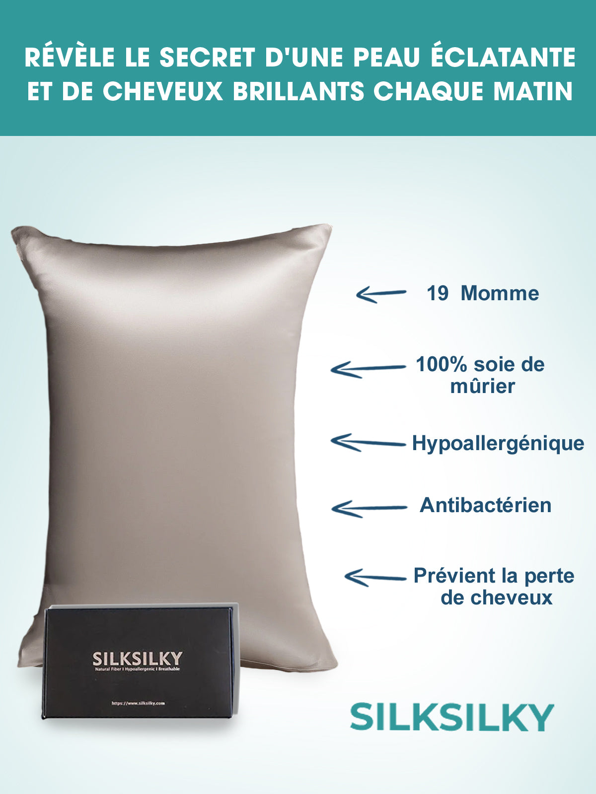 SilkSilky-FR 19Momme Pure Soie Pillowcase Gris 002