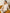 [Rose Clair] SilkSilky-FR Pure Soie Womens Pajamas 001