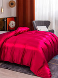 SilkSilky FR 19Momme Pure Soie Duvet Cover RougeVineux 001