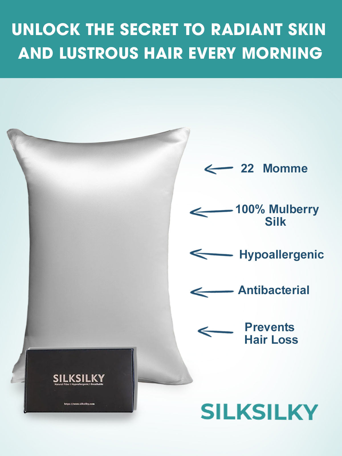 [Argent] SilkSilky-FR 22Momme Pure Soie Pillowcase 003