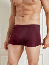 [Rouge Vineux] SilkSilky-FR Homme Sous-vêtements 003
