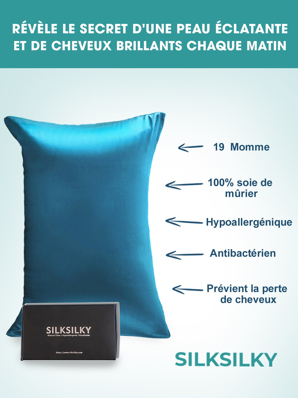 SilkSilky-FR 19Momme Pure Soie Pillowcase BleuRoyal 003