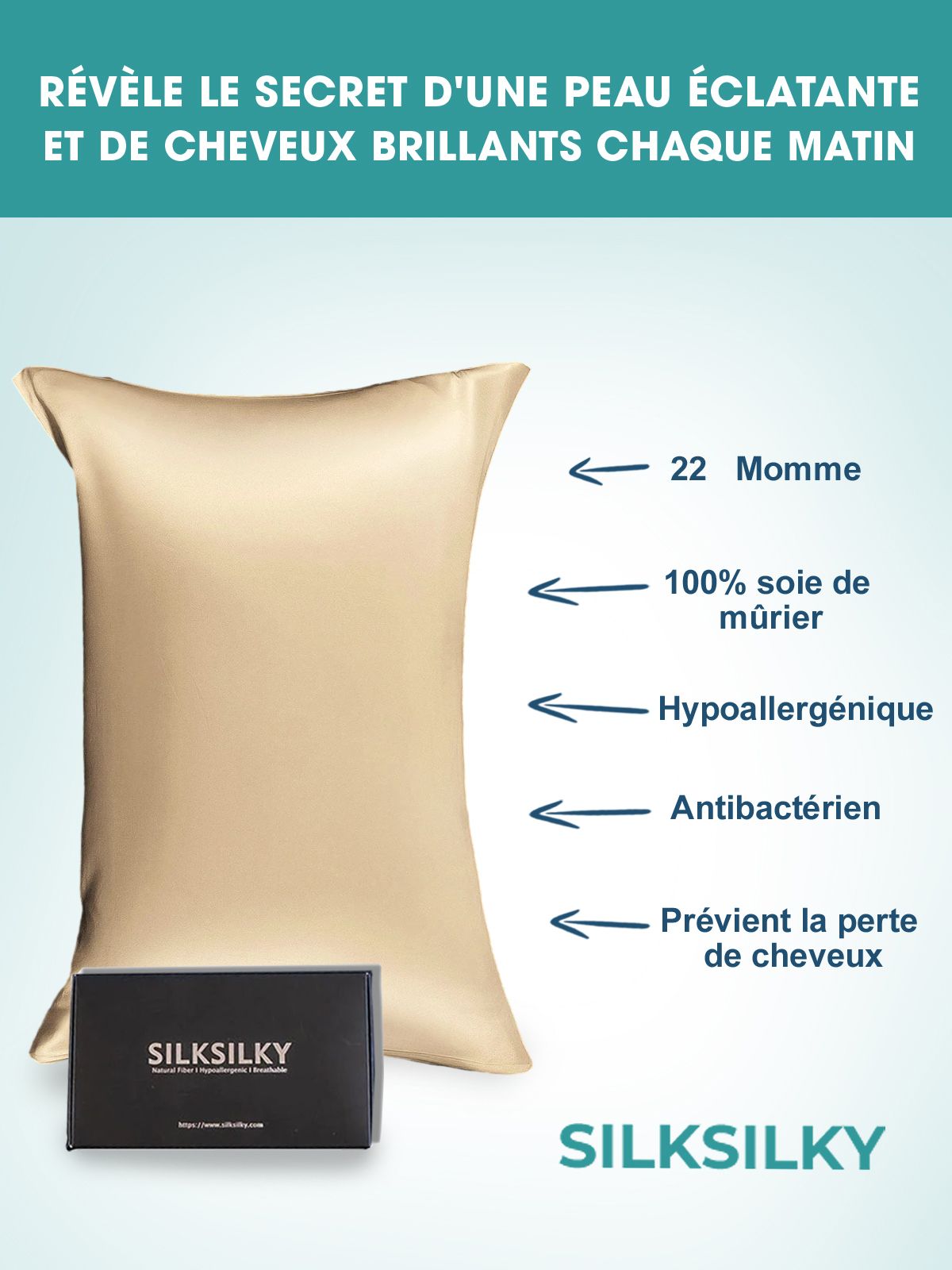 [Beige] SilkSilky-FR 22Momme Pure Soie Pillowcase 002