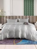 SilkSilky FR 25Momme Pure Soie Bedding Set Argent 002