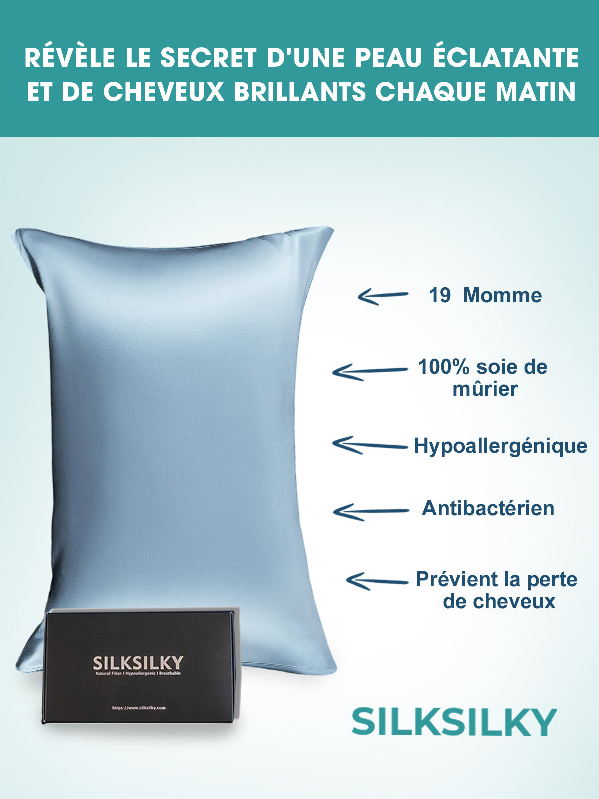 SilkSilky-FR 19Momme Pure Soie Pillowcase BleuClair 002