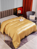 SilkSilky FR 22Momme Pure Soie Duvet Cover Champagne 002