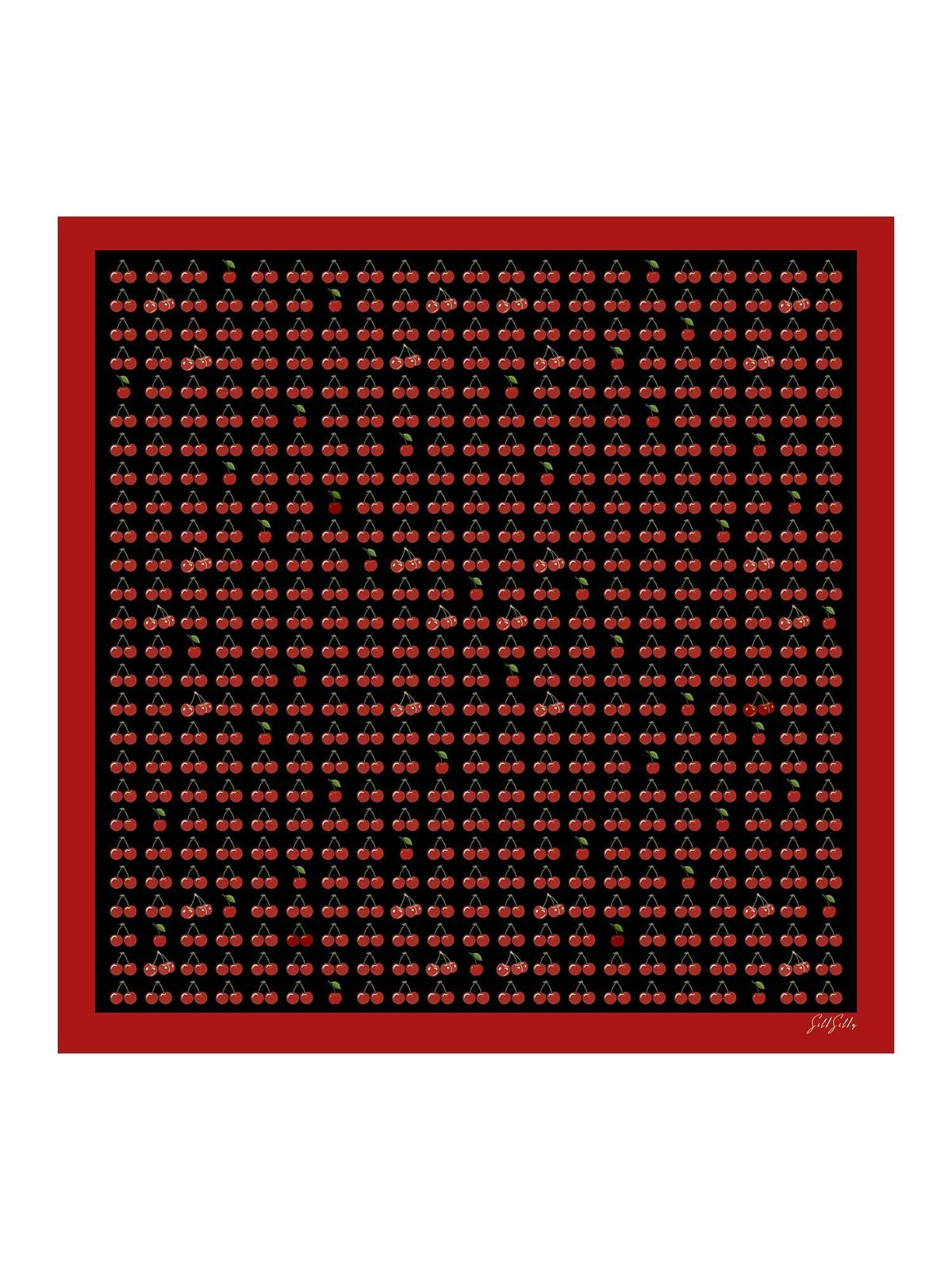 [Cerise Noire] SilkSilky-FR Écharpes 001