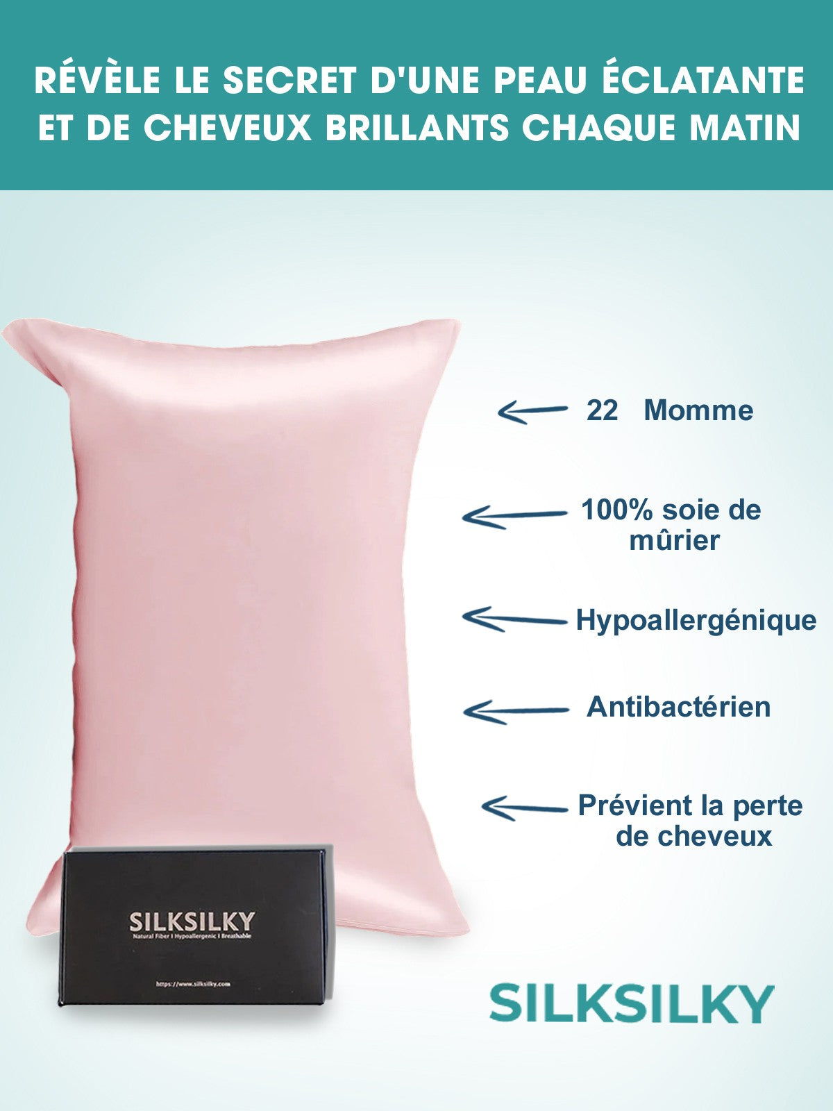 [Rose] SilkSilky-FR 22Momme Pure Soie Pillowcase 002
