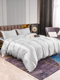 SilkSilky FR 22Momme Pure Soie Bedding Set Argent 002