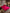[Rouge Vineux] SilkSilky-FR 19Momme Pure Soie Bedding Set 001