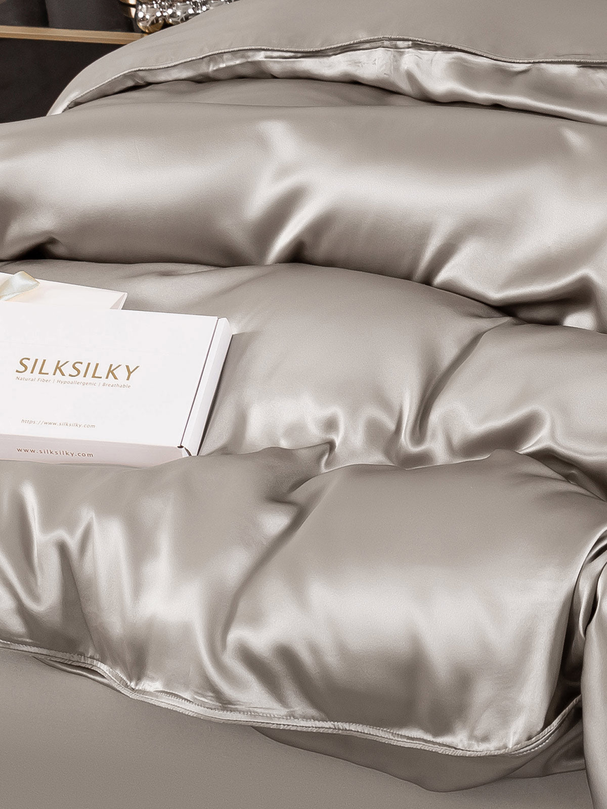 [Gris] SilkSilky-FR 22Momme Pure Soie Bedding Set 003