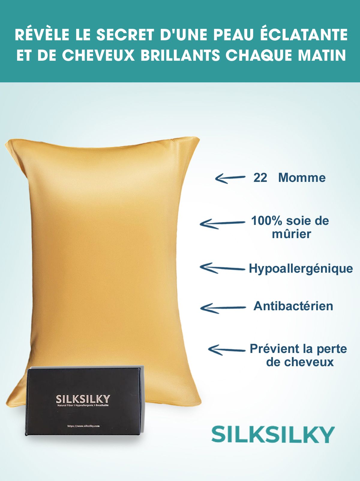 [Champagne] SilkSilky-FR 22Momme Pure Soie Pillowcase 002