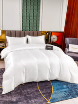 [Blanc] SilkSilky-FR 25Momme Parure de Lit Soie 003