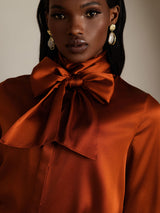 [Caramel] SilkSilky-FR Long Sleeve High Neck Blouse 010