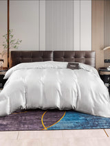 [Argent] SilkSilky-FR 22Momme Duvet Covers 001