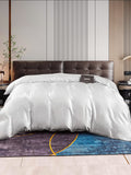 SilkSilky FR 22Momme Pure Soie Duvet Cover Argent 001