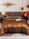 SilkSilky FR 19Momme Pure Soie Duvet Cover Café 002