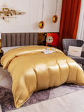 SilkSilky FR 19Momme Pure Soie Duvet Cover Champagne 003