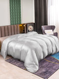 SilkSilky-FR 25Momme Pure Soie Duvet Cover Argent 001