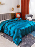 SilkSilky FR 19Momme Pure Soie Duvet Cover BleuRoyal 001