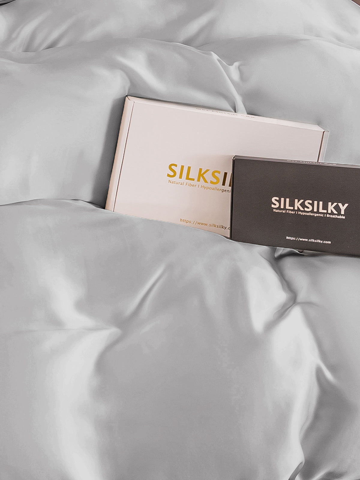 SilkSilky FR 19Momme Pure Soie Duvet Cover Argent 004