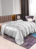 SilkSilky FR 22Momme Pure Soie Duvet Cover Argent 002