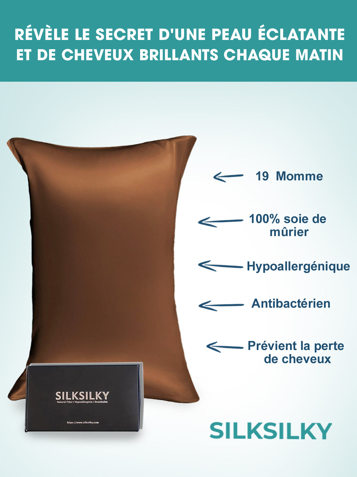 SilkSilky-FR 19Momme Pure Soie Pillowcase Café 002