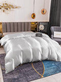 SilkSilky FR 19Momme Pure Soie Duvet Cover Argent 002